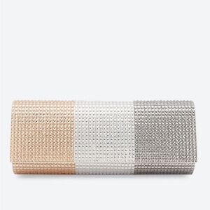 ALDO Aseriri Metallic Multi Women Clutch